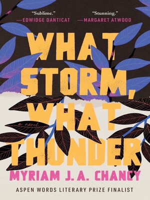 cover image of What Storm, What Thunder